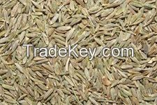 Cumin Seeds