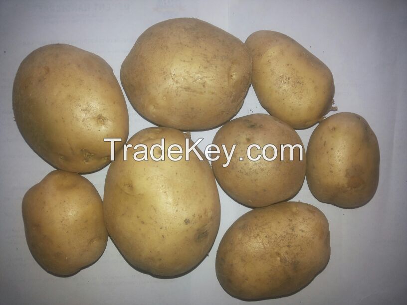 Sell Potatoes