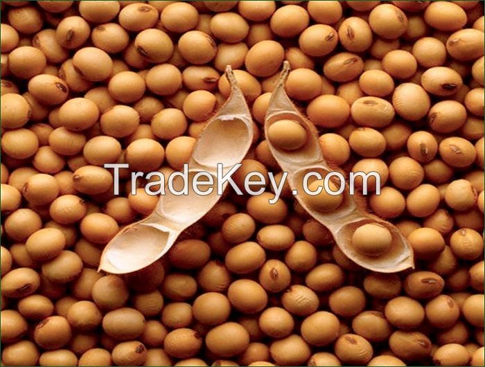 Sell Soybeans