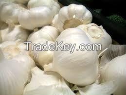 high quality dehydrated garlic an fresh garlic for sale