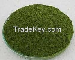 Sell Moringa Leave