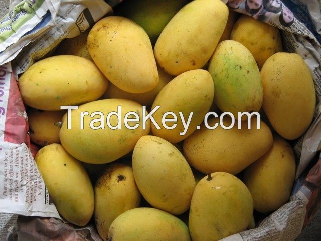 Sell Mango