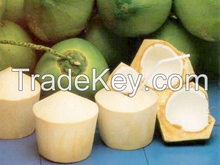 SELL: FRESH COCONUT