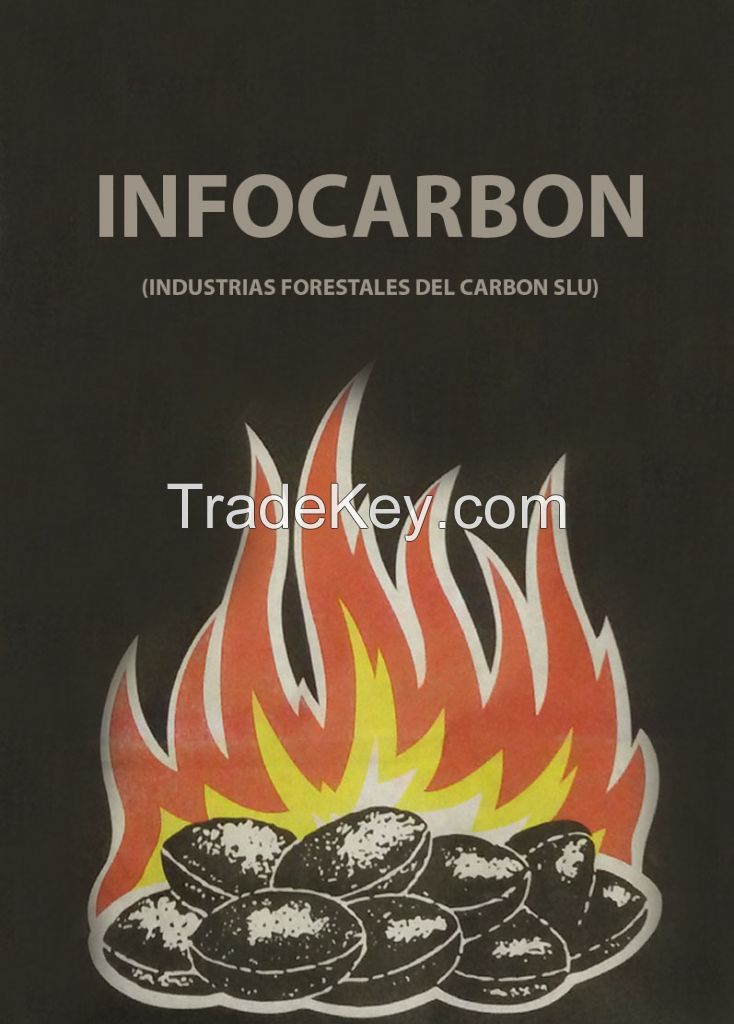 Charcoal briquettes (we are manufacturers)