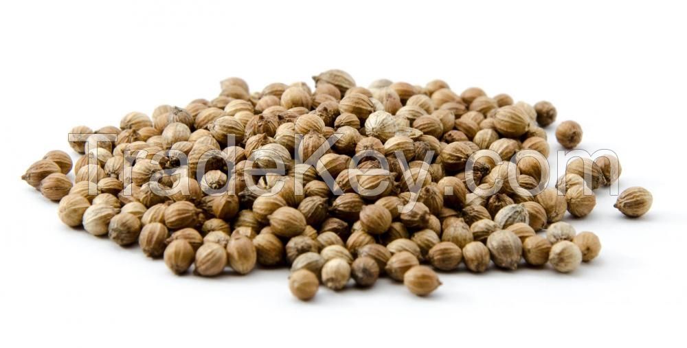 High Quality Brown Fresh Dried Coriander Seed