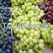 Fresh Grapes