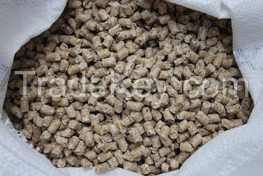 Chiken Layer Pellets