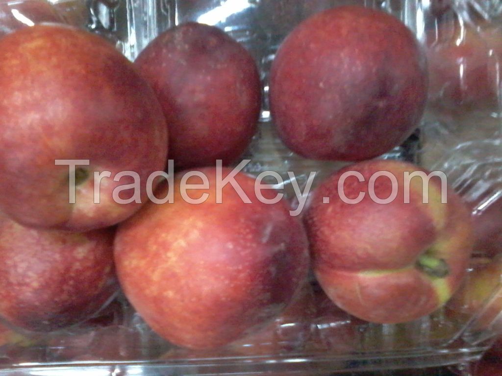 Fresh Nectarine from Egypt