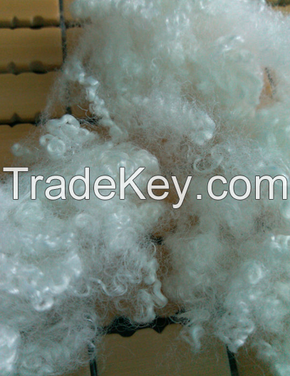 hollow conjugated polyester staple fiber virgin or recycled