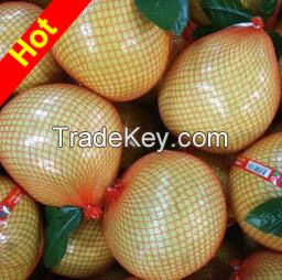 Fresh pomelo