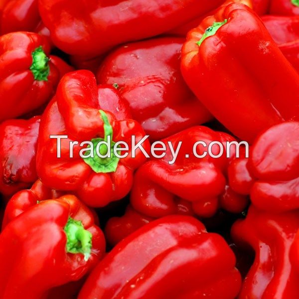 Fresh Peppers