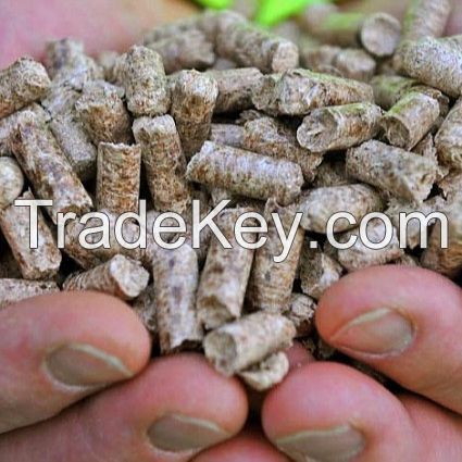 Wood Pallets for Biodeisel