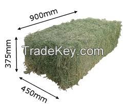 Meadow Hay