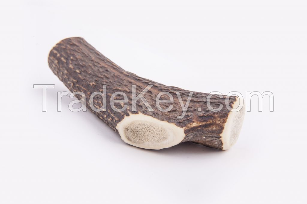 Antler Chews