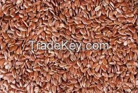 Flax Seeds