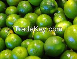 FRESH GREEN LEMONS FROM SOUTH AFRICA