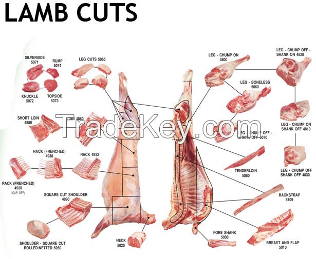 Sheep Meat (mutton)/ beet meat and others for sale