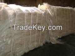 Premium Sisal Fiber at best offer