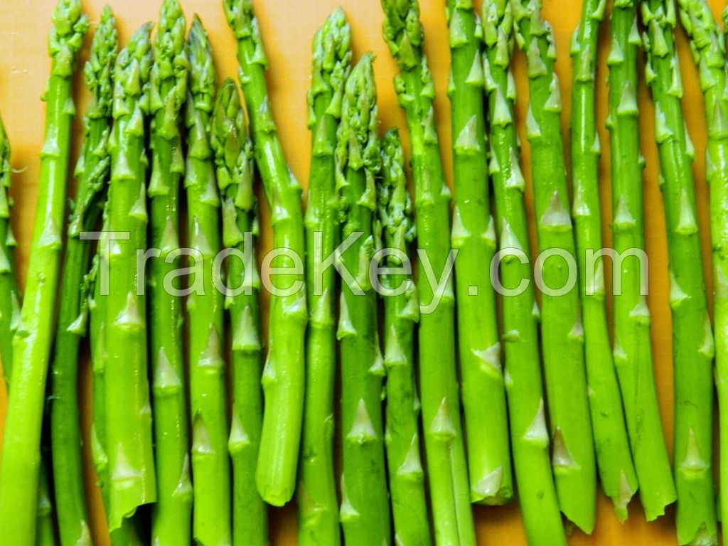 ORGANIC FRESH GREEN ASPARAGUS