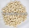 Blanched Round Type Peanut Kernel