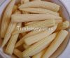 Frozen Fresh Baby Corn For Sale