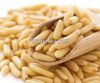 Organic Pine Nut