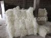 100% Natural Raw Sisal Fiber