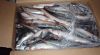 Quality Frozen Anchovy Fish for sale