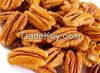 Sell Pecan Nuts