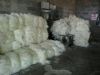 Sisal Fiber for sale