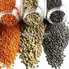 Quality Red Lentils/Green Lentils