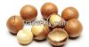 Macadamia Nuts