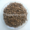 Sell Diammonium Phosphate DAP