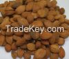 Apricot Kernels