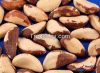 Organic Brazil Nuts