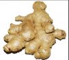 dry ginger