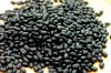 Black Kidney Beans