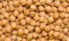 Quality Chickpeas