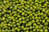 mung bean