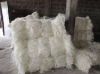 Sisal Fiber UG / SSUG Grade A From Kenya