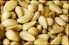 Pine Nuts Kernels