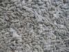 High Quality Cotton Seeds