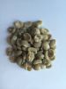 Special deal Arabica premium grade origin from Thailand