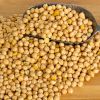 Grade A Quality Chickpeas