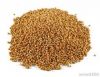 Red And White Sorghum For Sale / Sorghum Flour White / Sorghum Grains