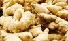 Sell Fresh Ginger from farms of Nigeria