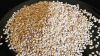 Natural White Hulled Sesame Seeds