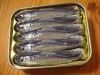 High quality canned sardine price