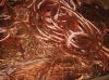 HIGH QUALITY 99.9% COPPER WIRE SCRAP