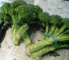 Fresh Broccoli